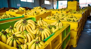 Bananas