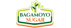 sugar